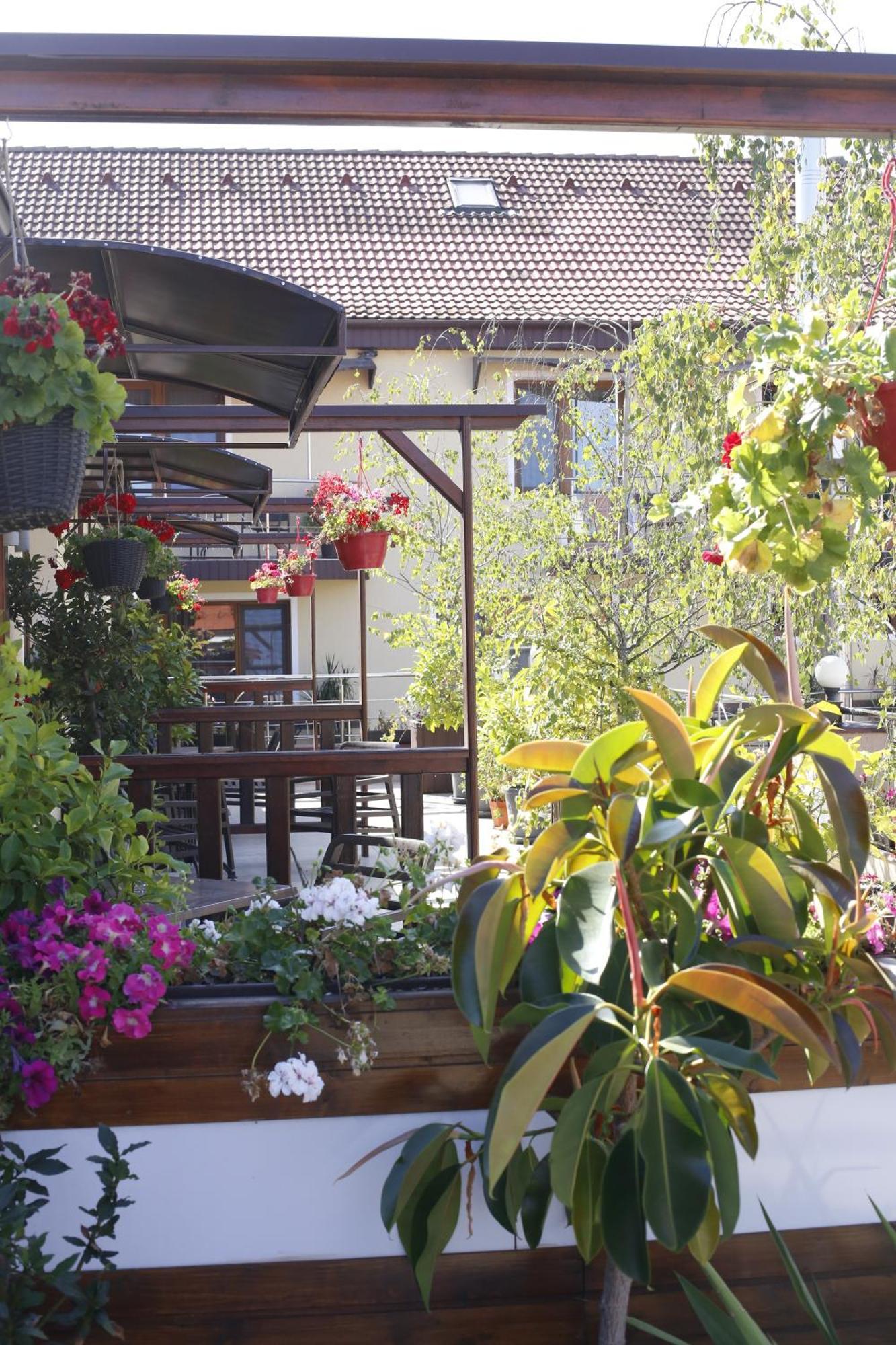 Hotel Bulevard Făgăraş Exterior foto